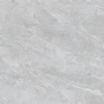 NY3-GP8801 T100622 C