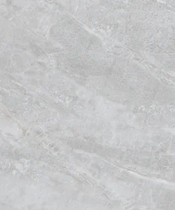 NY3-GP8801 T100622 C