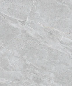 NY3-GP8801 T100622 D