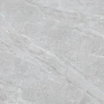 NY3-GP8801 T100622 E