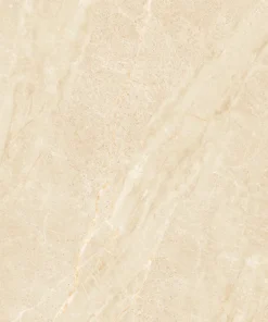 NY3-GP8804 T210322 C