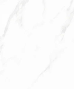 NY5 GP6601_4